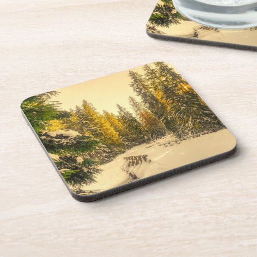 雪の松の木の森自然写真 コースター (左側)