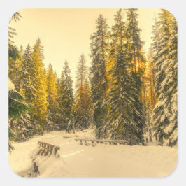 雪の松の木の森自然写真 スクエアシール