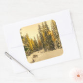 雪の松の木の森自然写真 スクエアシール (封筒)