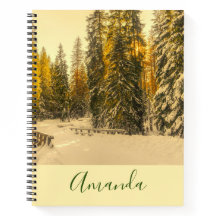 雪の松の木の森自然写真