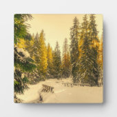 雪の松の木の森自然写真 フォトプラーク (正面)