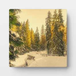 雪の松の木の森自然写真 フォトプラーク