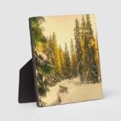 雪の松の木の森自然写真 フォトプラーク (正面)