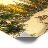 雪の松の木の森自然写真 ポスター (角)