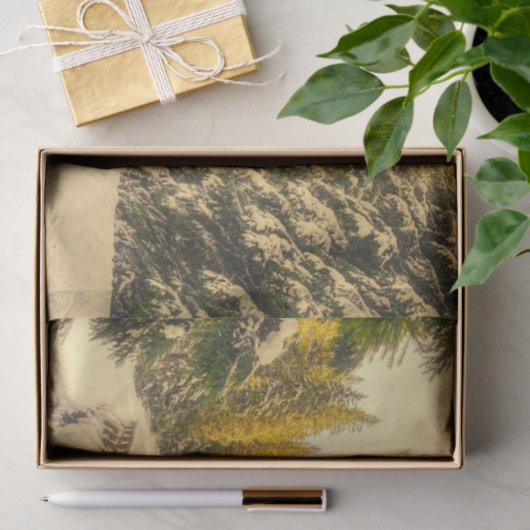 雪の松の木の森自然写真 薄葉紙 (ギフト)