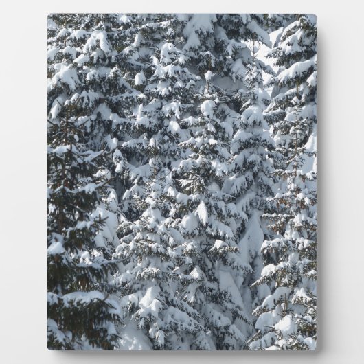 雪の松の木の質感 フォトプラーク (正面)