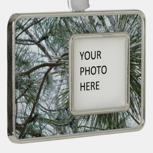 雪の松の針冬自然撮影 シルバープレートフレームオーナメント (右)
