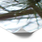 雪の松の針冬自然撮影 ポスター (角)