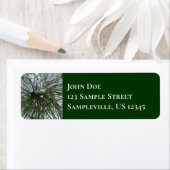 雪の松の針冬自然撮影 ラベル (インサイチュ)