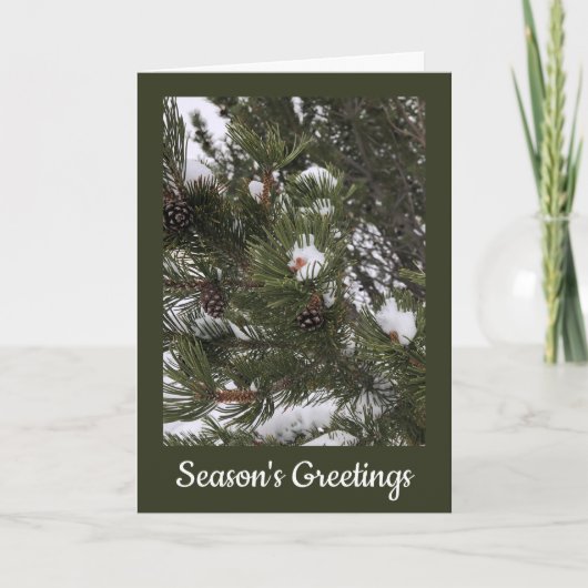 雪の松ぼっくり折りたたみホリデーカード シーズンカード (正面)