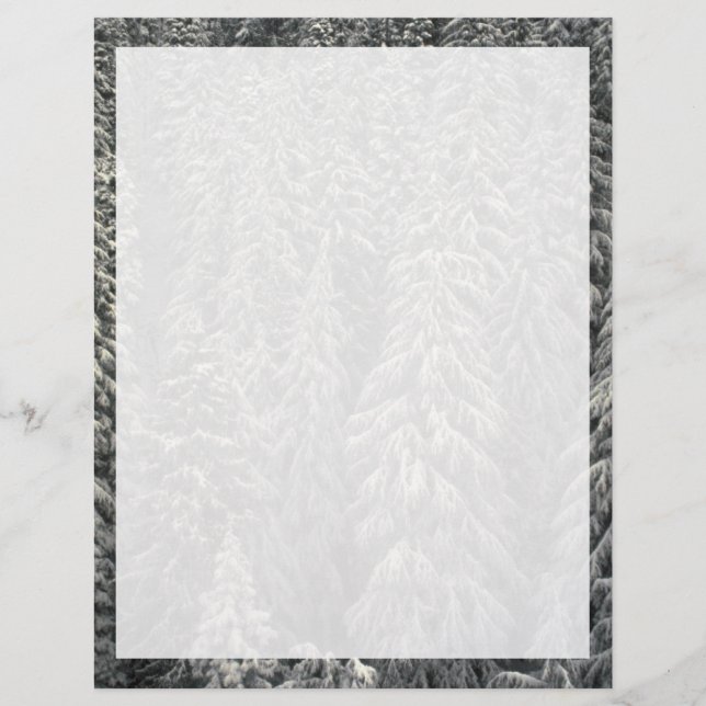 雪の松 (正面)