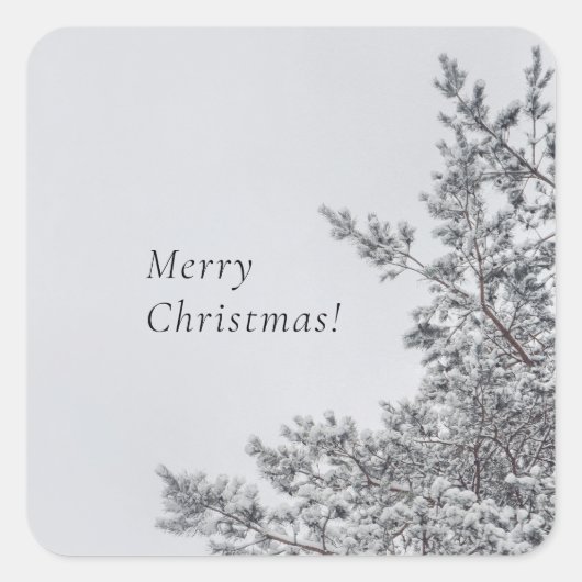 雪の松,スカンジナビアのクリスマススタイル スクエアシール (正面)