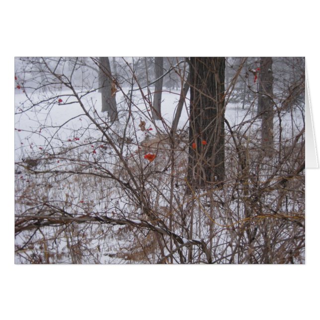 雪の果実 (正面横)