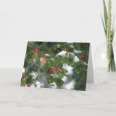 雪の果実 シーズンカード (裏面)