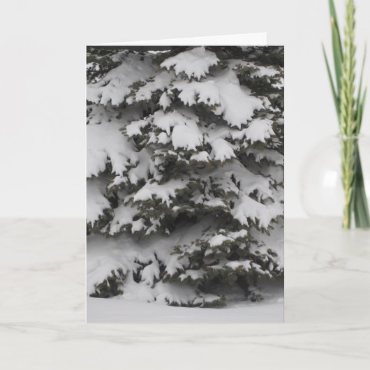 雪の枝が織りなす ホリデーカード (正面)