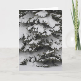 雪の枝が織りなす ホリデーカード