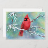 雪の枝にいるカーディナル　予算クリスマス シーズンカード (正面/裏面)
