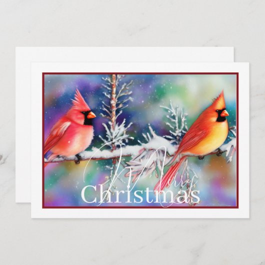 雪の枝にカーディナル クリスマスの予算 シーズンカード (正面/裏面)