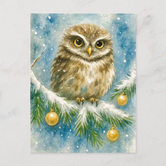 雪の枝に止まる冬のフクロウ クリスマス ポストカード (正面)