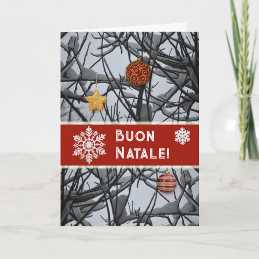雪の枝に飾られたイタリアのクリスマスオーナメント シーズンカード (正面)
