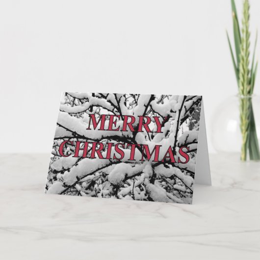 雪の枝のクリスマスカード シーズンカード (正面)