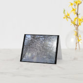 雪の枝ノテカード カード (黄色い花)