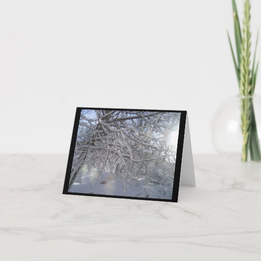 雪の枝ノテカード カード (正面)