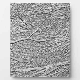 雪の枝 フォトプラーク