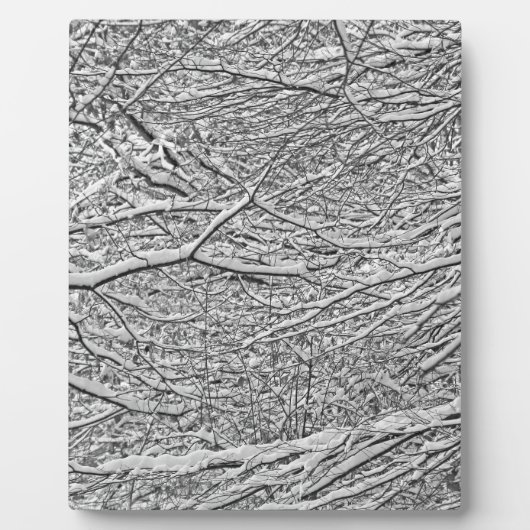 雪の枝 フォトプラーク (正面)