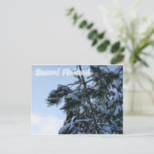雪の枝 ポストカード (スタンド正面)
