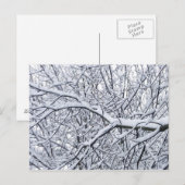 雪の枝 ポストカード (正面/裏面)