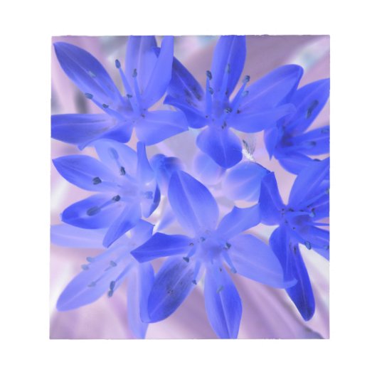 雪の栄光ショッキングな青のメモ帳 ノートパッド (正面)