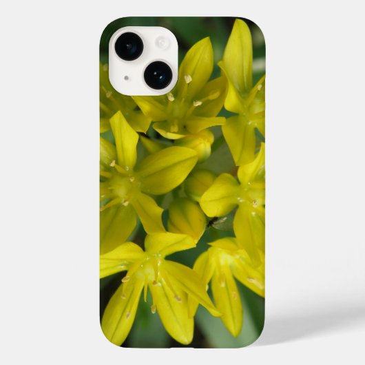雪の栄光 Case-Mate iPhoneケース (裏面)