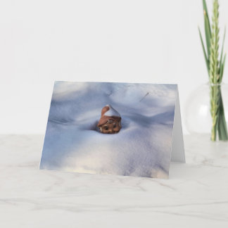 雪の格言 カード