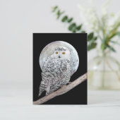 雪の梟と月絵画-オリジナル鳥画 ポストカード (スタンド正面)