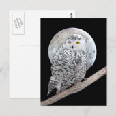 雪の梟と月絵画-オリジナル鳥画 ポストカード (正面/裏面)