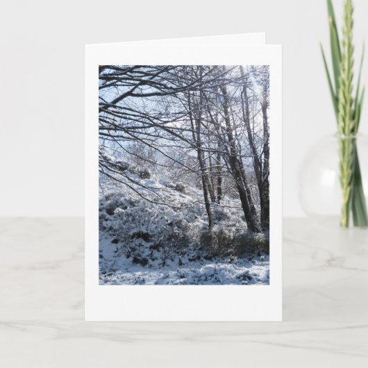 雪の森のクリスマス カード (正面)