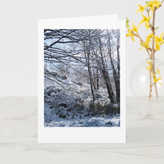 雪の森のクリスマス カード (黄色い花)