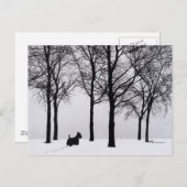 雪の森のスコットランド ポストカード (正面/裏面)