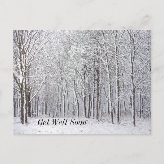 雪の森の回復祈願ポストカード ポストカード (正面)