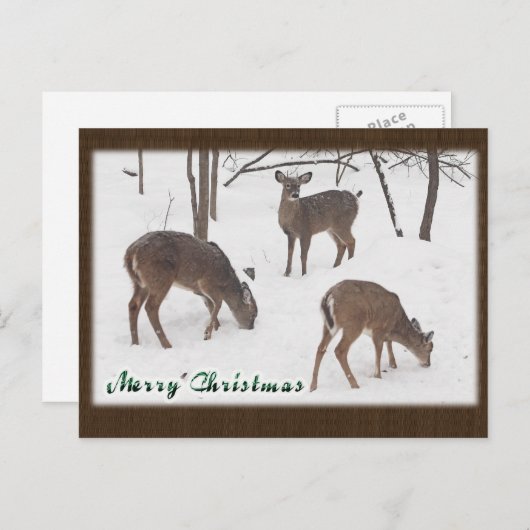 雪の森の白い鹿 – メリークリスマス シーズンポストカード (正面/裏面)