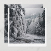 雪の森シール 招待状 (正面/裏面)