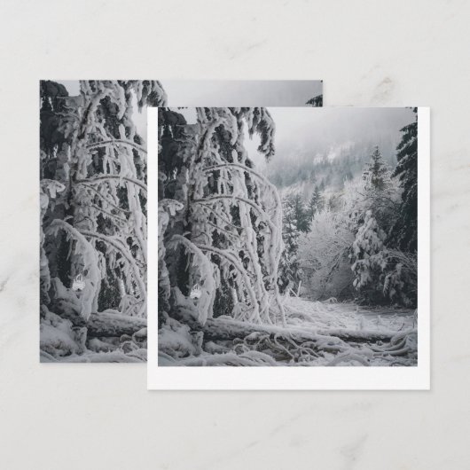 雪の森シール 招待状 (正面/裏面)