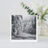 雪の森シール 招待状 (スタンド正面)