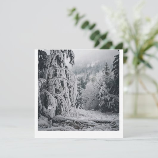 雪の森シール 招待状 (スタンド正面)