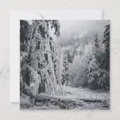 雪の森シール 招待状 (裏面)