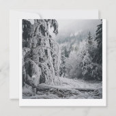 雪の森シール 招待状 (正面)