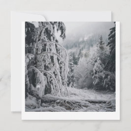 雪の森シール 招待状