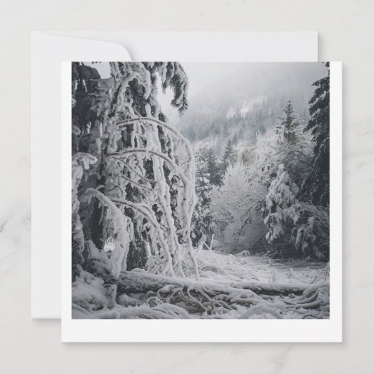 雪の森シール 招待状 (正面)