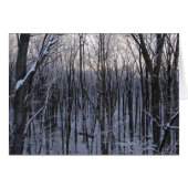 雪の森 (正面横)